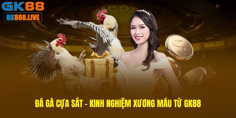 Đá gà cựa sắt - Kinh nghiệm xương máu từ GK88