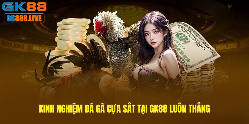 Kinh nghiệm Đá gà cựa sắt tại GK88 luôn thắng